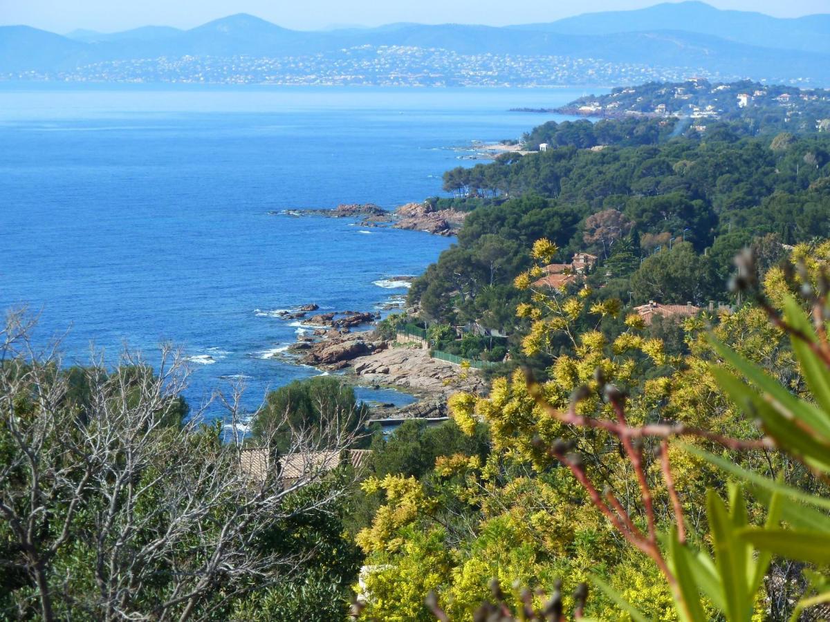 Duplex, Vue Panoramique Sur La Mediterranee, Piscine, Garage Saint-Raphael  Luaran gambar